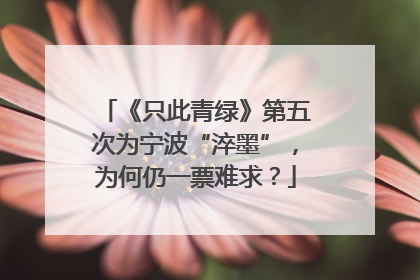 《只此青绿》第五次为宁波“淬墨”，为何仍一票难求？