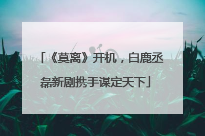 《莫离》开机，白鹿丞磊新剧携手谋定天下
