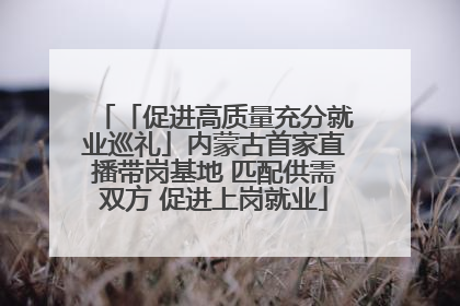 「促进高质量充分就业巡礼」内蒙古首家直播带岗基地 匹配供需双方 促进上岗就业