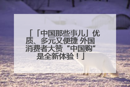 「中国那些事儿」优质、多元又便捷 外国消费者大赞“中国购”是全新体验！