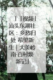 「视频」汕头东湖社区：乡愁归处 希望新生｜大美岭南·百村焕新记