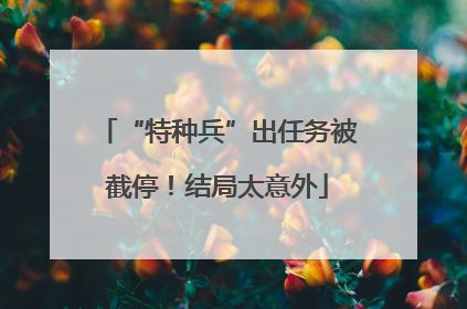 “特种兵”出任务被截停！结局太意外