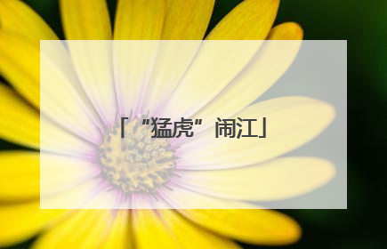 “猛虎”闹江