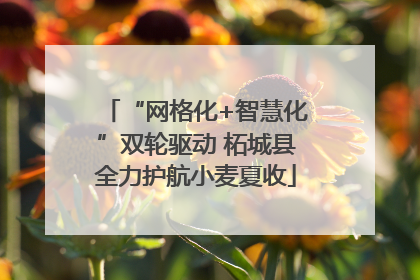 “网格化+智慧化”双轮驱动 柘城县全力护航小麦夏收