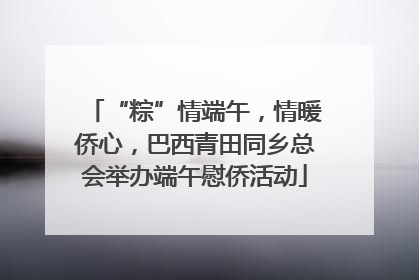 “粽”情端午，情暖侨心，巴西青田同乡总会举办端午慰侨活动