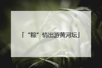 “粽”情出游黄河坛