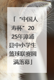 “中国人寿杯”2025年漳浦县中小学生篮球联赛圆满落幕