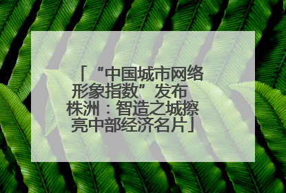 “中国城市网络形象指数”发布 株洲：智造之城擦亮中部经济名片