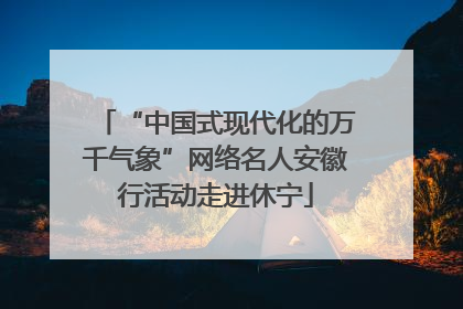 “中国式现代化的万千气象”网络名人安徽行活动走进休宁
