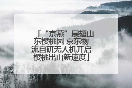 “京燕”展翅山东樱桃园 京东物流自研无人机开启樱桃出山新速度