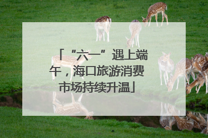 “六一”遇上端午，海口旅游消费市场持续升温