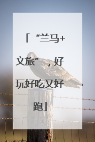 “兰马+文旅”，好玩好吃又好跑