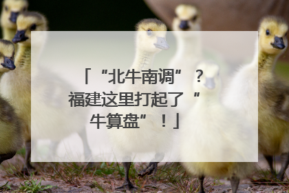 “北牛南调”？福建这里打起了“牛算盘”！