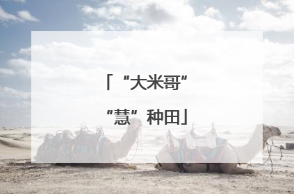 “大米哥”“慧”种田