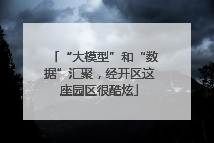 “大模型”和“数据”汇聚，经开区这座园区很酷炫
