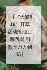 “天猫618”开幕活动落地上海西岸 引数十万人到访