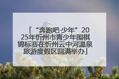 “奔跑吧·少年”2025年忻州市青少年围棋锦标赛在忻州云中河温泉旅游度假区圆满举办