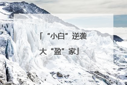 “小白”逆袭大“盈”家