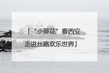 “小葵花”看西安走进丝路欢乐世界