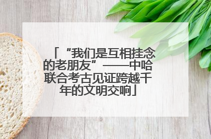 “我们是互相挂念的老朋友”——中哈联合考古见证跨越千年的文明交响