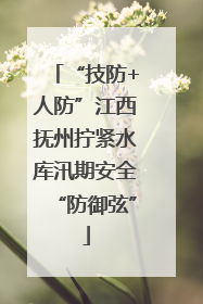 “技防+人防”江西抚州拧紧水库汛期安全“防御弦”