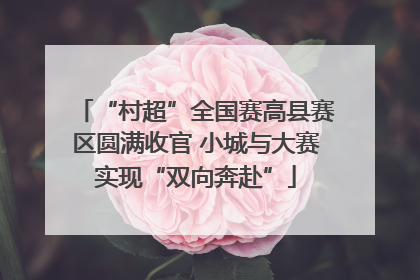 “村超”全国赛高县赛区圆满收官 小城与大赛实现“双向奔赴”