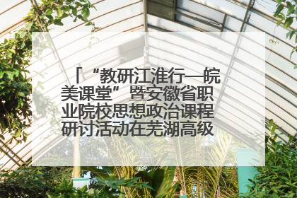 “教研江淮行—皖美课堂”暨安徽省职业院校思想政治课程研讨活动在芜湖高级职业技术学校举行