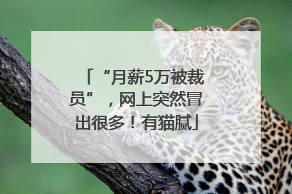 “月薪5万被裁员”，网上突然冒出很多！有猫腻