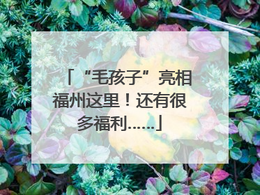 “毛孩子”亮相福州这里！还有很多福利……