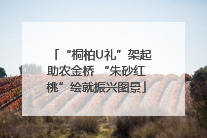 “桐柏U礼”架起助农金桥 “朱砂红桃”绘就振兴图景