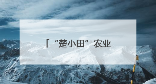 “楚小田”农业生态链品牌发布