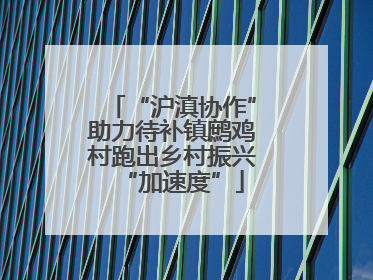 “沪滇协作”助力待补镇鹧鸡村跑出乡村振兴“加速度”
