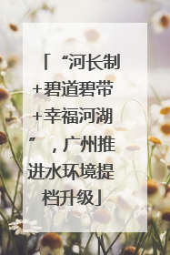 “河长制+碧道碧带+幸福河湖”，广州推进水环境提档升级