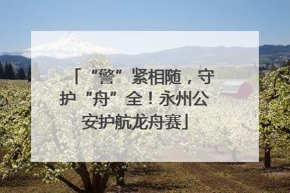 “警”紧相随，守护“舟”全！永州公安护航龙舟赛