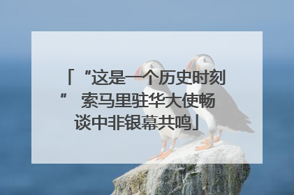 “这是一个历史时刻” 索马里驻华大使畅谈中非银幕共鸣