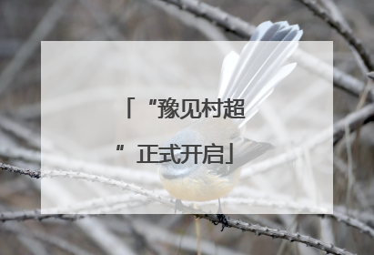“豫见村超”正式开启