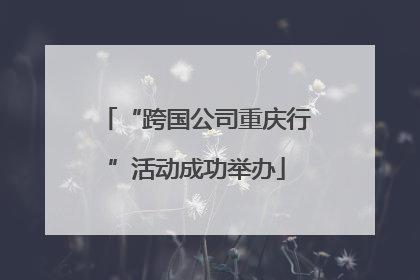 “跨国公司重庆行”活动成功举办