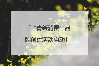 “青新消费”品牌创建活动启动