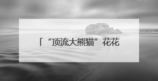 “顶流大熊猫”花花人气爆棚！排队1小时参观3分钟，游客只敢讲“悄悄话”