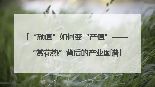 “颜值”如何变“产值”——“赏花热”背后的产业图谱