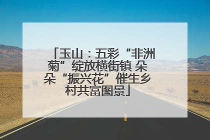 玉山：五彩“非洲菊”绽放横街镇 朵朵“振兴花”催生乡村共富图景