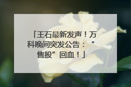 王石最新发声！万科晚间突发公告：“售股”回血！