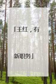 王红，有新职务