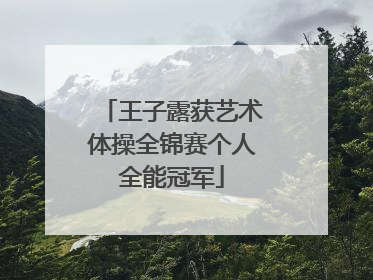 王子露获艺术体操全锦赛个人全能冠军
