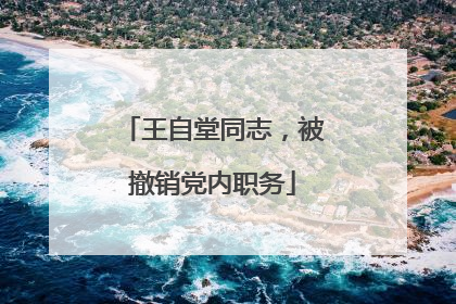 王自堂同志，被撤销党内职务