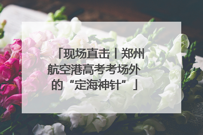 现场直击丨郑州航空港高考考场外的“定海神针”