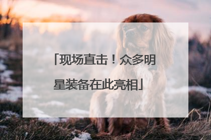 现场直击！众多明星装备在此亮相