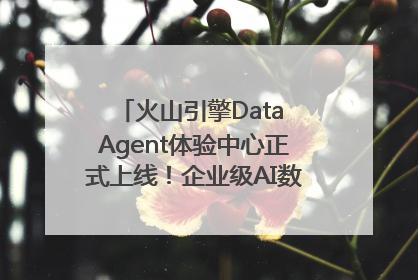 火山引擎Data Agent体验中心正式上线！企业级AI数据专家触手可及