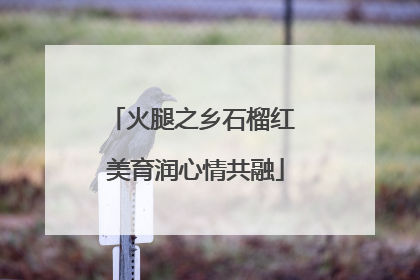 火腿之乡石榴红 美育润心情共融