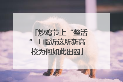 炒鸡节上“整活”！临沂这所新高校为何如此出圈